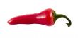 red hot chili pepper
