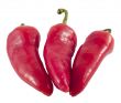 red hot chili peppers