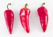 red hot chili peppers