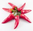 sun pepper