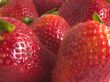 strawberry?s close up