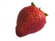fresh strawberrry