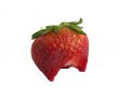 fresh strawberrry