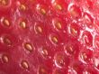 strawberrry seeds