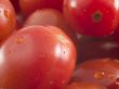 Grape Tomato Close Up