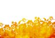floral style textures