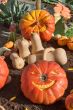 Cheerful masks from a pumpkin