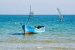 Boat, Surf and Swimmer