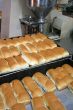Bakery bread