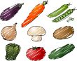 Vegetables illustration