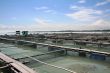 Fish farm