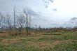 Fields 2