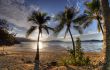 tropical sunset