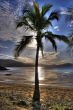 tropical sunset