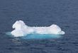 Penguins on an ice floe