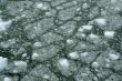 Abstract, brash ice forming