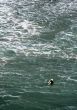 Lone surfer