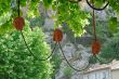 Moustiers-Ste-Marie 4