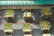 Moustiers-Ste-Marie - Brasserie