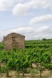 Narbonne-Carcassonne 4