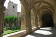 Narbonne 8