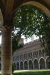 Pavia 12