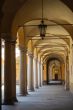 Pavia 2