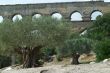 Pont du Gard 9