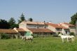 Provence - Farm