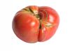 Beautiful Heirloom Tomato