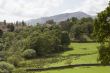 Farmland in the Lake District