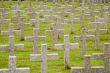 War Graves in France