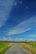 spring countryside