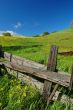 spring countryside