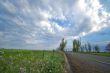 spring countryside