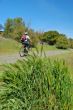 on the trail