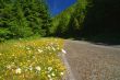Road in the mountains