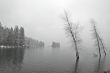 snowy lakeshore