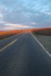 lonely road