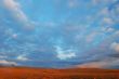 evening field