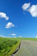 road, windmills, and field