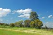 springtime meadow