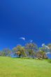 springtime landscape