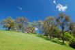 springtime landscape
