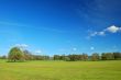 springtime landscape