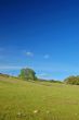 springtime landscape