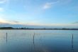after the flood