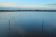 after the flood