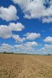 rural countryside