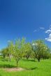 rural countryside